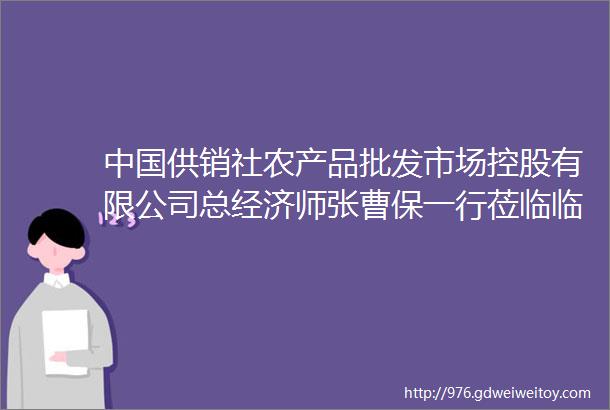 中国供销社农产品批发市场控股有限公司总经济师张曹保一行莅临临沂嘉兴水果市场考察调研